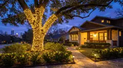 Live oak wrapped in Christmas lights with lit landscaping at a craftsman home under live oaks in Austin, TX