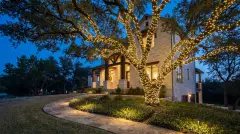 Live oak wrapped in Christmas lights with lit landscaping at a limestone Hill Country home in Cedar Park, TX