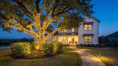 Live oak wrapped in Christmas lights with lit landscaping at a modern farmhouse home in Leander, TX
