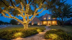 Live oak wrapped in Christmas lights with lit landscaping at a two-story suburban home in Pflugerville, TX