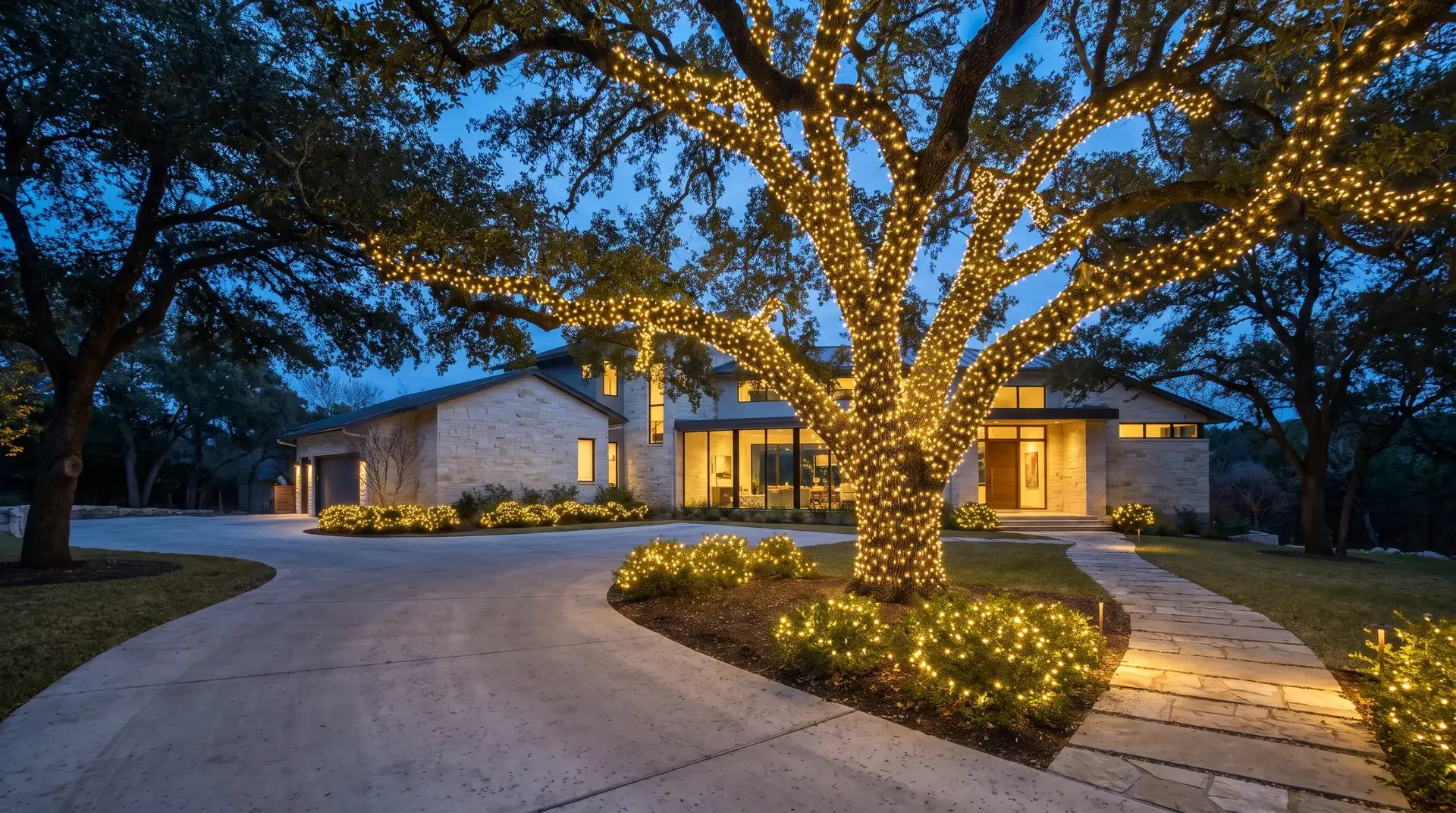 Live oak wrapped in Christmas lights with lit landscaping at a wooded hillside home in West Lake Hills, TX